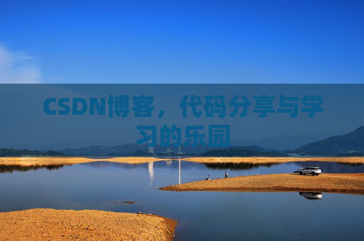 CSDN博客，代码分享与学习的乐园